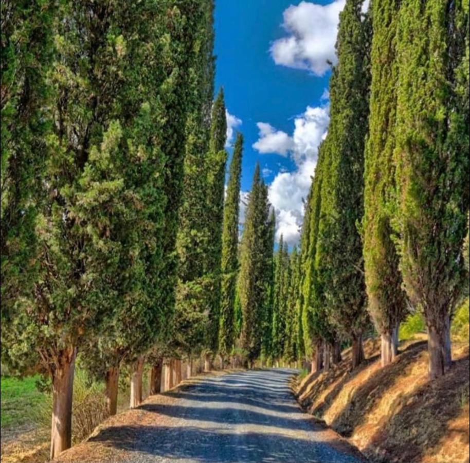 Agriturismo Fattoria Il Piano - Casa Tosca - Сан Джиминяно Екстериор снимка